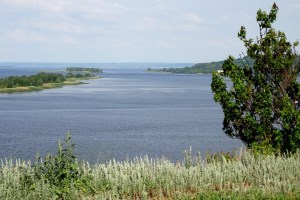 Ржищев